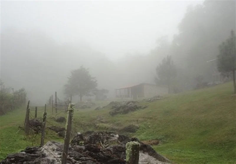 سفر به قلب طبیعت بکر ایلام؛ ماجراجویی مه‌آلودی که آرامش را معنا می‌کند!