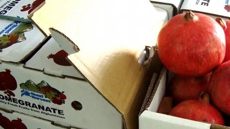 توافق تاریخی طالبان و روسیه؛ صادرات محصولات کشاورزی افغانستان به بازارهای جدید باز شد!