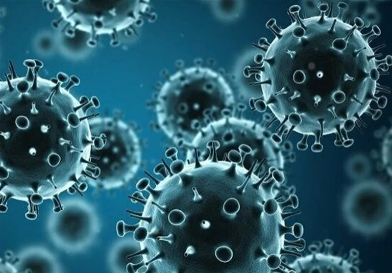 هشدار جدی مسئولان کیش درباره وضعیت شکننده جزیره در برابر موج آنفلوآنزا