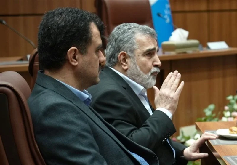 کمالوندی: نفوذ هسته‌ای چگونه می‌تواند معیشت مردم را متحول کند؟