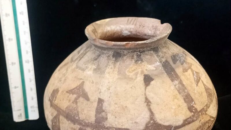 کشف 12 قطعه شی تاریخی نادر در جیرفت؛ میراث فرهنگی به خانه بازگشت!