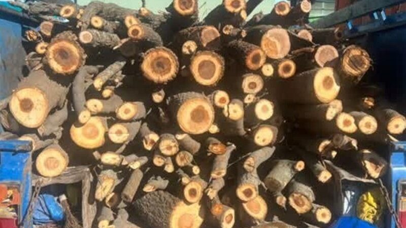 کشف حیرت‌انگیز 8 تن هیزم جنگلی قاچاق در اردبیل؛ متهمان دستگیر شدند!