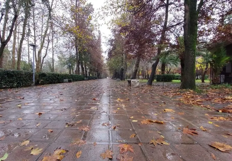 هشدار نارنجی در گیلان؛ آماده مقابله با بارش‌های سیلابی و یخبندان شدید باشید!