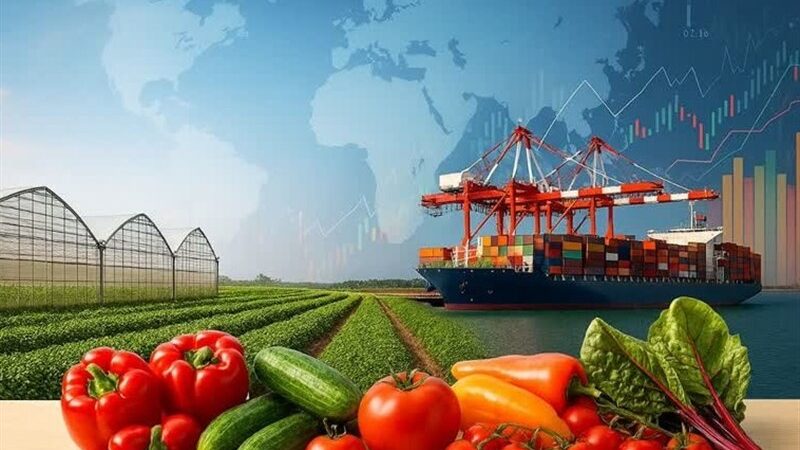 رکوردشکنی صادرات گلخانه‌ای استان مرکزی؛ جهشی 4 برابری در یک سال!