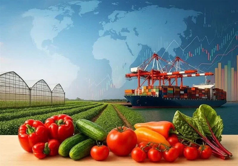 رکوردشکنی صادرات گلخانه‌ای استان مرکزی؛ جهشی 4 برابری در یک سال!