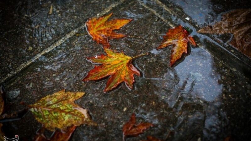 بارش‌های اندک در تهران؛ نجات آب با صرفه‌جویی میلیون‌ها مترمکعبی!