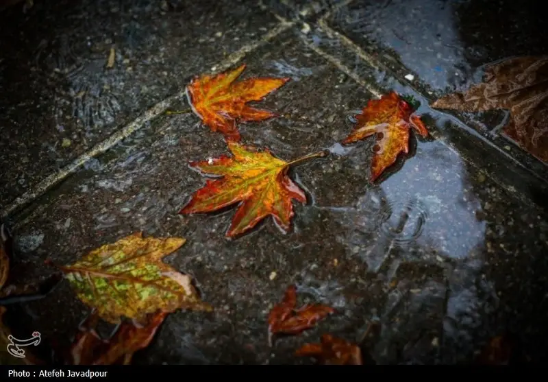 بارش‌های اندک در تهران؛ نجات آب با صرفه‌جویی میلیون‌ها مترمکعبی!