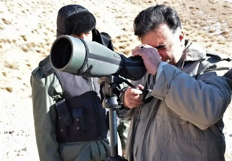 آغاز سرشماری زمستانه پستانداران با 10 تیم تخصصی در دل طبیعت اردبیل