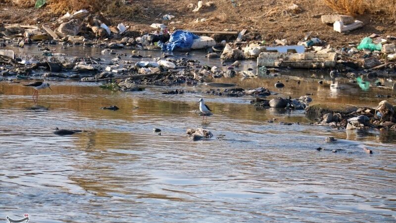 اعتراض شدید مردم انجیلسی به ورود دوباره زباله‌ها به جنگل‌های بابلکنار