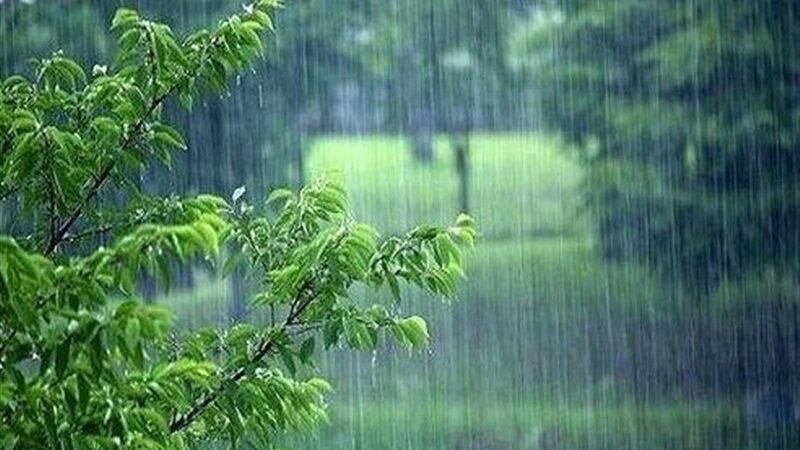 باران بی‌وقفه در خلیج فارس؛ جزایر هرمزگان زیر سایه هشدار قرمز و آماده‌باش کامل