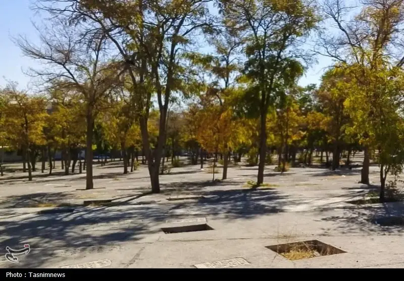 شکستن طلسم بلاتکلیفی آرامستان دهخدا؛ مالکیت قبرستان پس از سال‌ها تعیین شد!