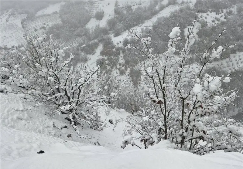 بارش‌های بی‌سابقه در کردستان؛ برف تا ارتفاع یک متر، نفس تازه طبیعت!