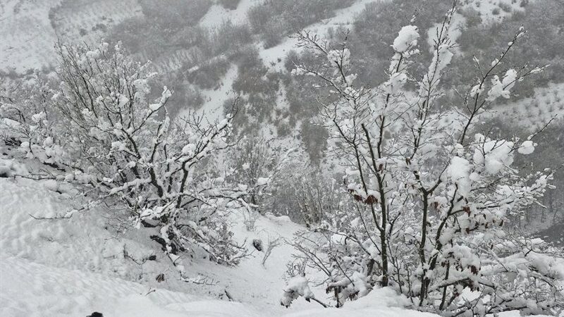 سمنان در چنگال سامانه بارشی جدید؛ برف و باران شدید با هشدار کولاک!