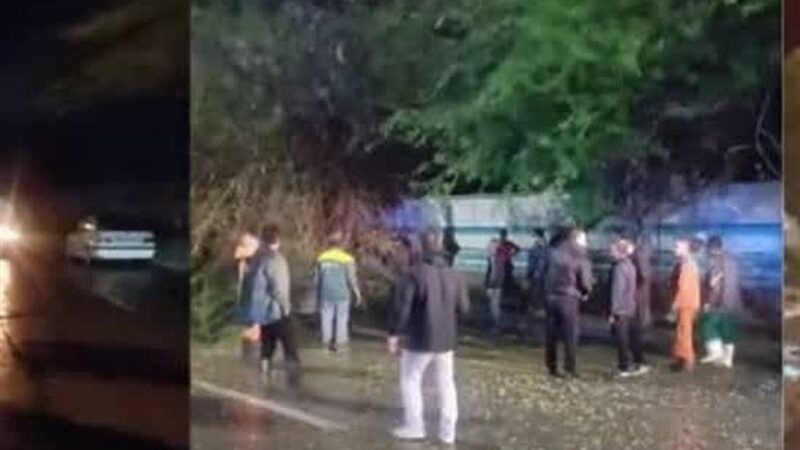 وزش باد شدید بوشهر را در تسخیر خود گرفت؛ معابر مسدود به سرعت بازگشایی شدند!