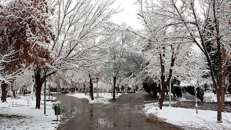 بارش‌های زمستانی در فارس؛ انسداد راه 6 روستا و فاجعه مرگ دو جوان در لارستان
