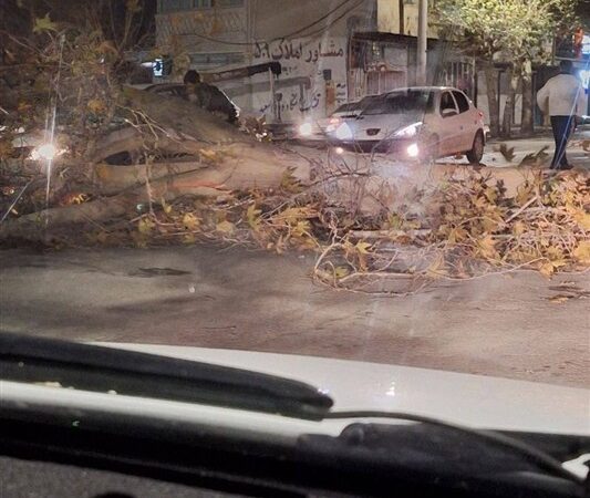 تندباد زمستانی در ایلام؛ هشدار شدید هواشناسی و کاهش دما تا صفر درجه