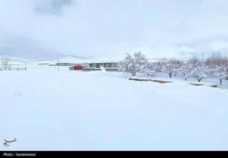 بارش بی‌سابقه برف در کهگیلویه و بویراحمد؛ رکورد ۱۰ ساله شکسته شد!
