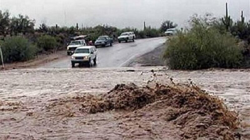 محدودیت ناگهانی تردد اتوبوس‌ها بین بوشهر و هرمزگان؛ شرایط جوی غیرمنتظره چه تاثیری داشت؟