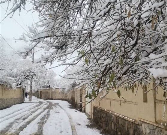 بارش بی‌سابقه 27 سانتی‌متری برف در ده‌بالای تفت؛ یزد در دل زمستان سفیدپوش شد!