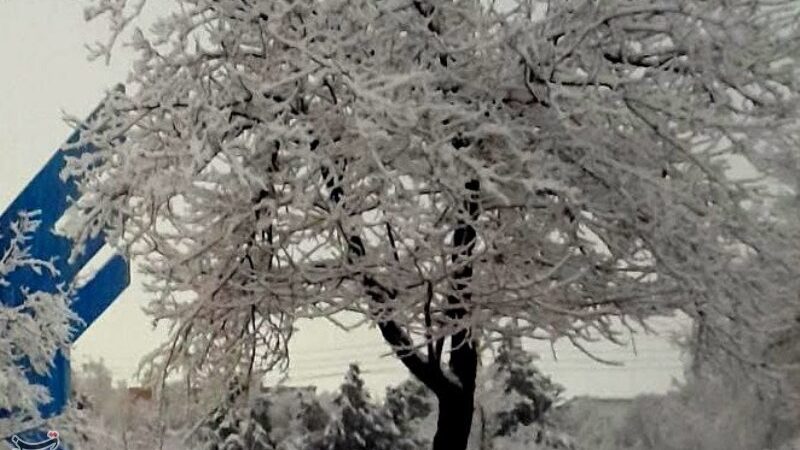 بارش‌های پراکنده برف و باران در یزد تا عصر؛ هشدار یخبندان شبانه نزدیک است!