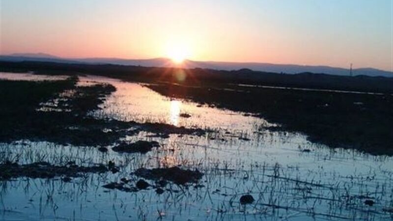 فاجعه زیست‌محیطی تالاب آلماگل؛ زباله‌ها امنیت زیستی منطقه را به خطر انداختند!