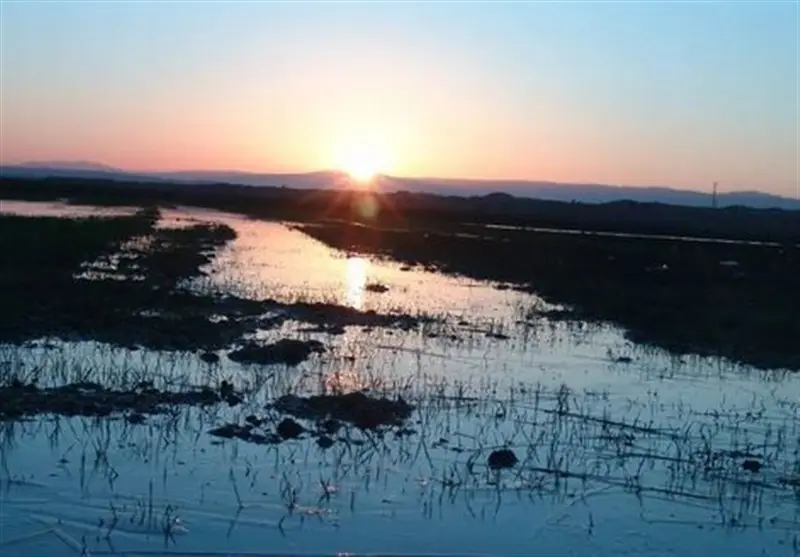 فاجعه زیست‌محیطی تالاب آلماگل؛ زباله‌ها امنیت زیستی منطقه را به خطر انداختند!