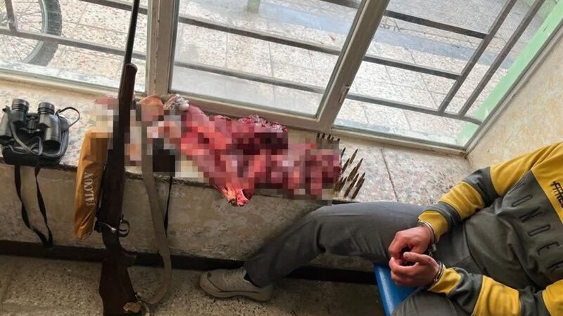 شکارچیان غیرمجاز در چهارمحال و بختیاری پس از ۳ روز تعقیب دستگیر شدند!