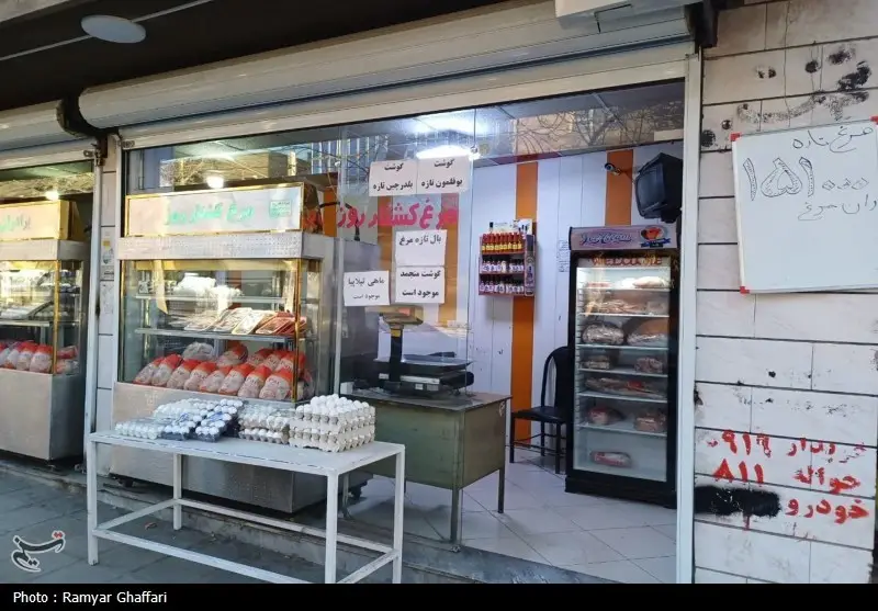 عقب‌نشینی قیمت مرغ در سنندج پس از افشای بحران بازار توسط تسنیم