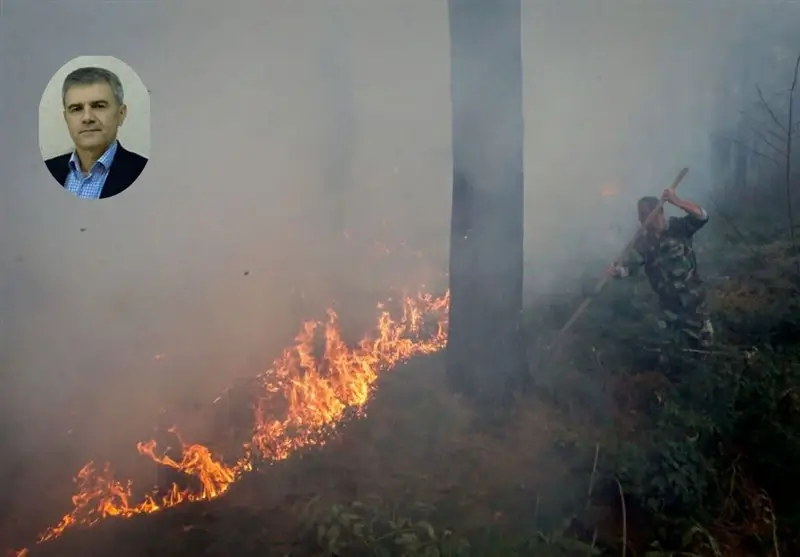 آتش‌سوزی‌های هیرکانی؛ رازهای پشت پرده‌ای که طبیعت را تبرئه می‌کند - وب‌گردی