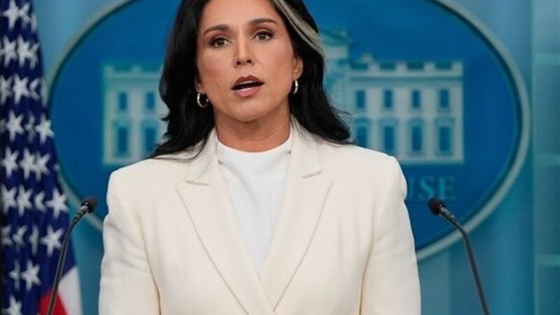 گابارد هشدار داد: دست‌های پنهان به دنبال کشاندن آمریکا به جنگ با روسیه هستند!