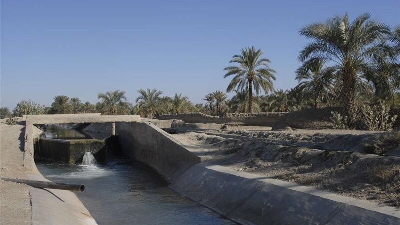 بحران بی‌سابقه در بمپور؛ سرنوشت تاریخی این شهر کشاورزی چه خواهد شد؟