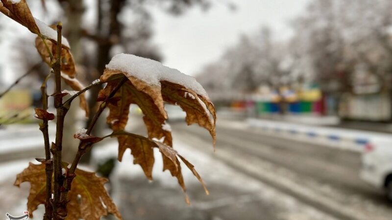سرمای بی‌امان در سمنان؛ برف و غبار غافلگیرکننده در راه است!