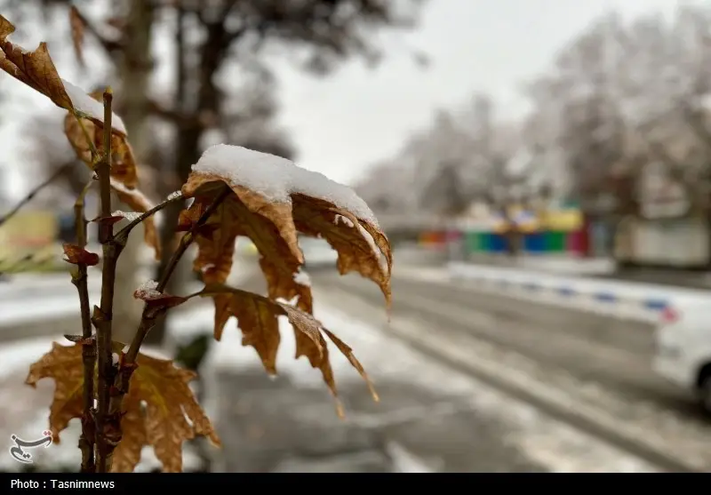 سرمای بی‌امان در سمنان؛ برف و غبار غافلگیرکننده در راه است!