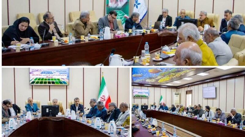نشست تاریخی در بوشهر؛ راهکارهای طلایی افزایش تولید میگوی پرورشی کشف شد!