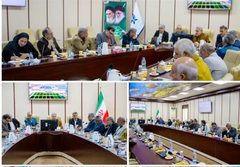 نشست تاریخی در بوشهر؛ راهکارهای طلایی افزایش تولید میگوی پرورشی کشف شد!