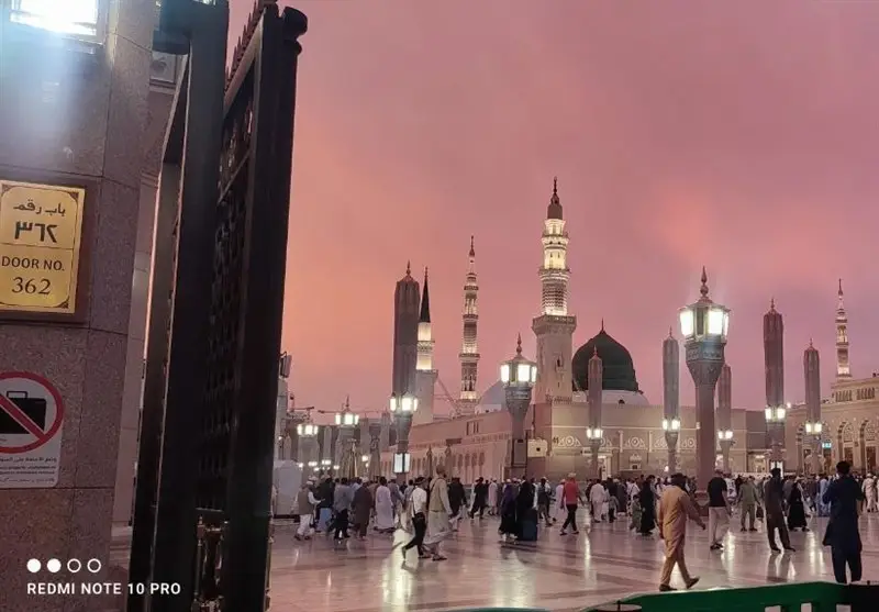 سفری متفاوت به مدینه با کاروان دانشجویی؛ از کوچه بنی‌هاشم تا روضه رضوان همراه با کودکان و اساتید