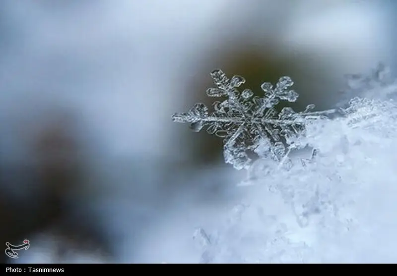 شمال فارس در سرمای بی‌سابقه؛ دما به منفی ۲۷ درجه رسید!