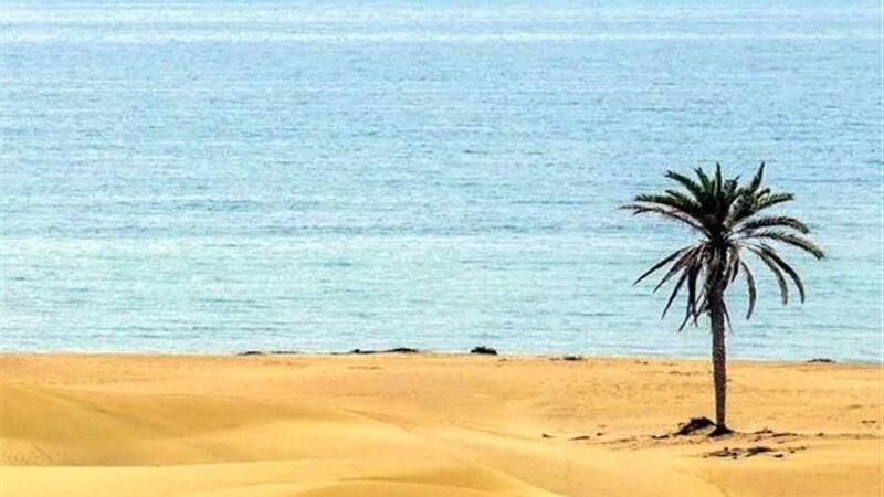 چرا سفر به شهرهای جنوبی در فصل خنک، تجربه‌ای بی‌نظیر و جذاب است؟