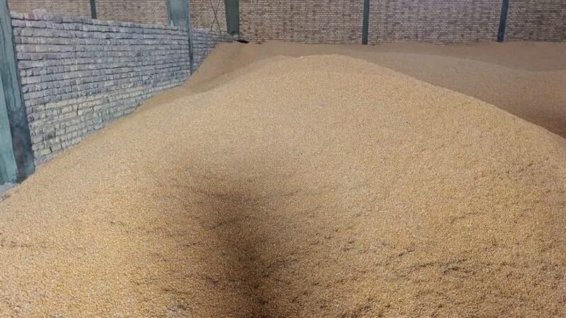 پلیس سمنان با هوشیاری 45 تن ذرت قاچاق را در مسیر بندر ماهشهر متوقف کرد!