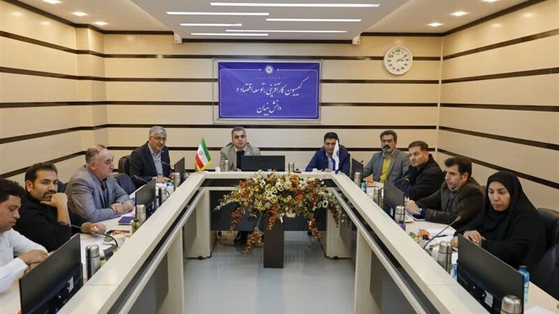 چرا حوزه فناوری اطلاعات در چهارمحال و بختیاری همچنان در سایه بی‌توجهی مانده؟