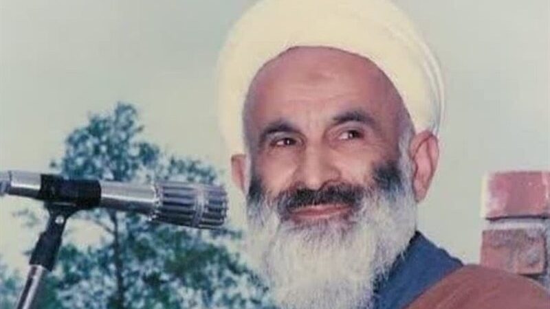 چرا دشمنان از شبکه هدایت امام هادی(ع) به شدت هراس داشتند؟