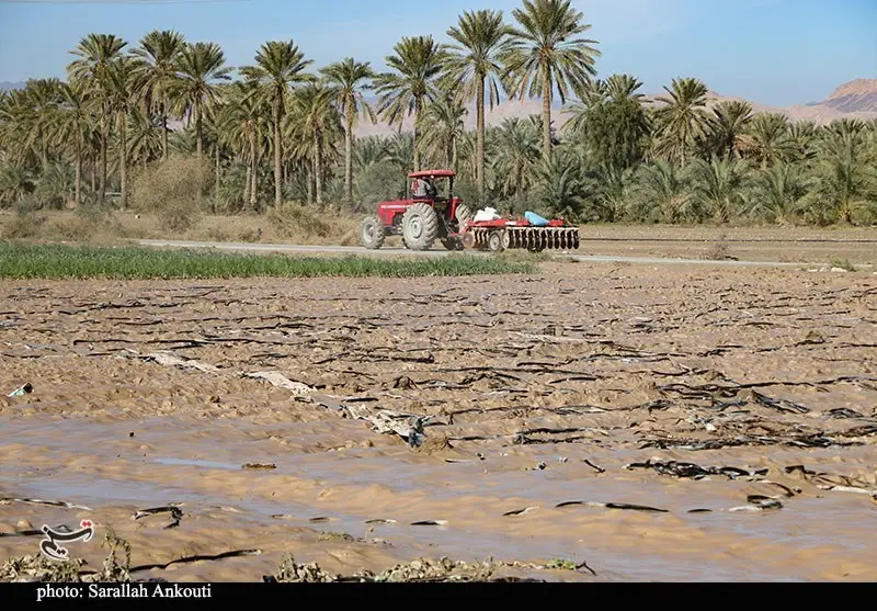 سیلاب سهمگین فاریاب؛ سرمایه کشاورزان در خطر نابودی جدی قرار گرفت!