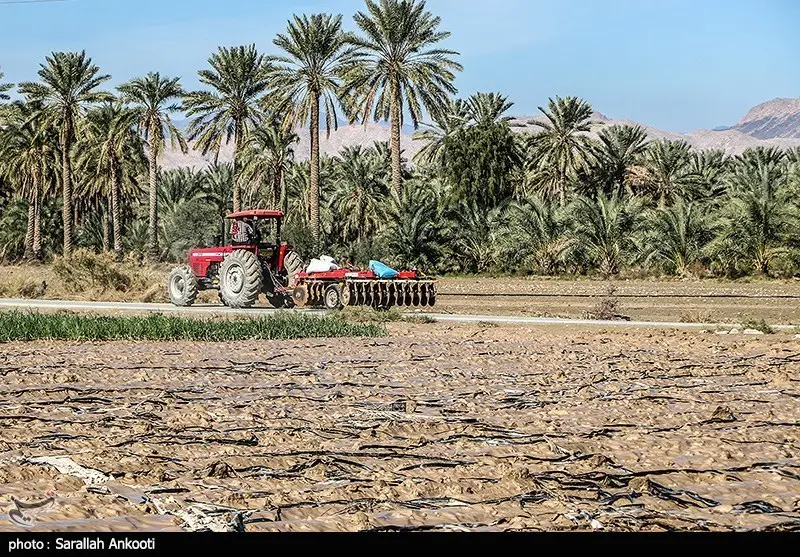 هشدار نارنجی هواشناسی کشاورزی در کرمان؛ کشاورزان به خطرات جدی پیش رو واکنش نشان دهند!