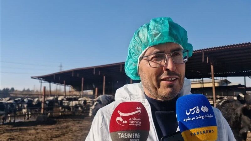 مهار تب برفکی در دامداری‌های اسلامشهر با تزریق 8 میلیون دز واکسن؛ تنها 930 رأس تلف شدند!
