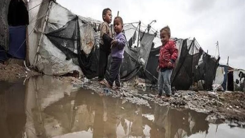 هپاتیت A در غزه؛ زنگ خطر بیماری مرگبار