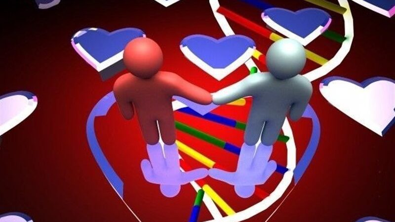 هشدار جدی درباره شیوع ناهنجاری‌های ژنتیکی فامیلی در برخی مناطق کشور
