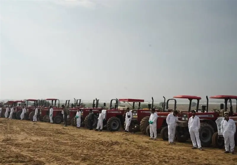 هشدار جدی درباره حمله ملخ‌های صحرایی به ایران از ۳ مسیر حیاتی؛ آمادگی کامل دستگاه‌ها اعلام شد