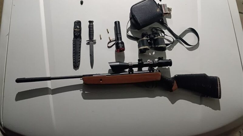 شکار غیرمجاز در پرور؛ متخلفان پیش از شلیک دستگیر شدند!