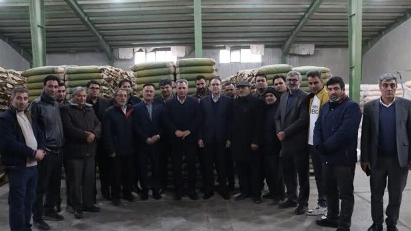 85 درصد نیاز بذر ذرت کشور را تأمین می‌کنیم