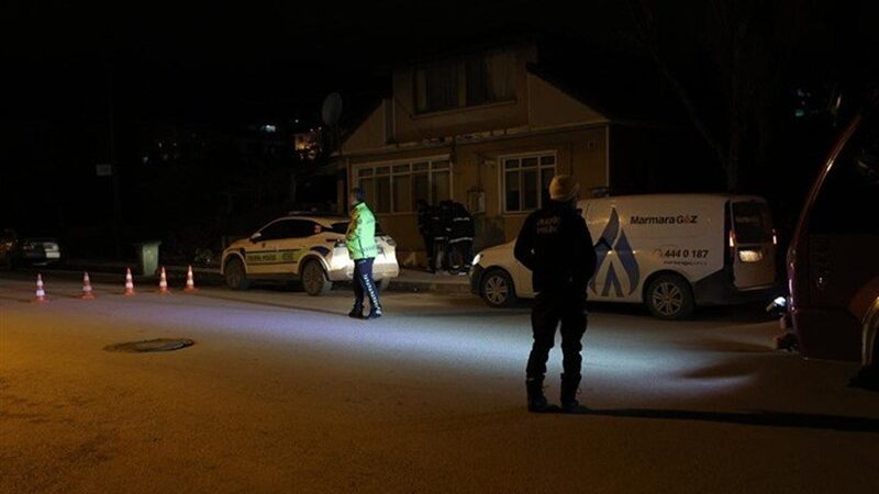 جزئیات کابوس 8 ساعته داعش در یالُوای ترکیه